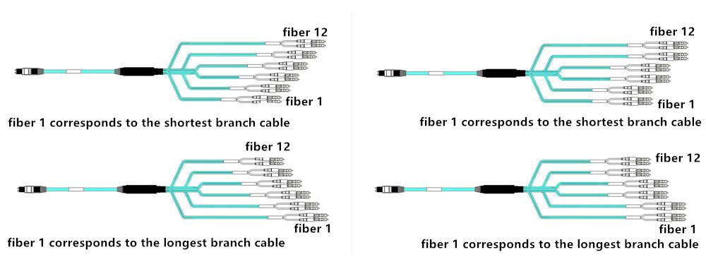 the branch fiber of fiber 1 and fiber 12